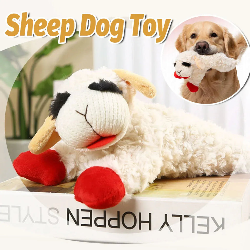 Aimall Lamb Plush Squeaky Dog Toy, White, with its measurements marked