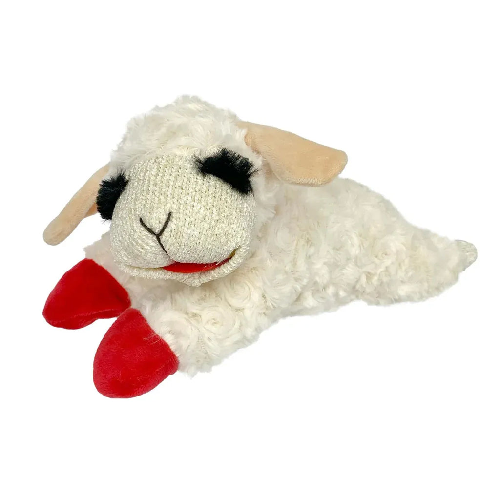 Aimall Lamb Plush Squeaky Dog Toy, White, on a white background