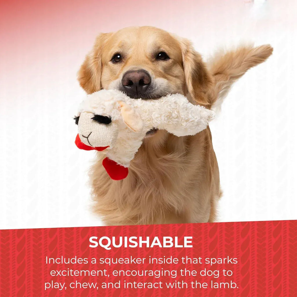Aimall Lamb Plush Squeaky Dog Toy, White, photo 7 of 8