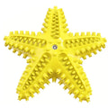 Pet Starfish Floating Dog Toy Audible Water Toy