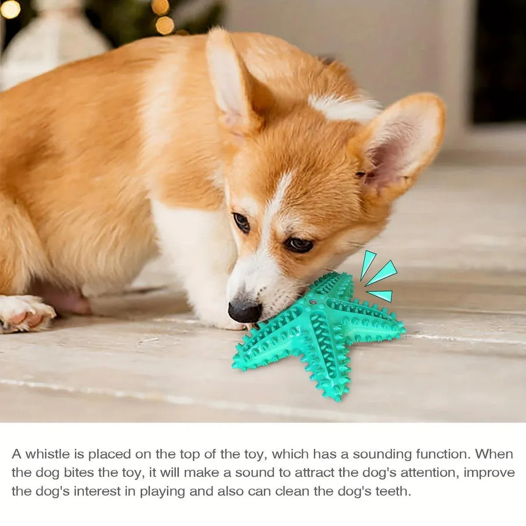 Pet Starfish Floating Dog Toy Audible Water Toy