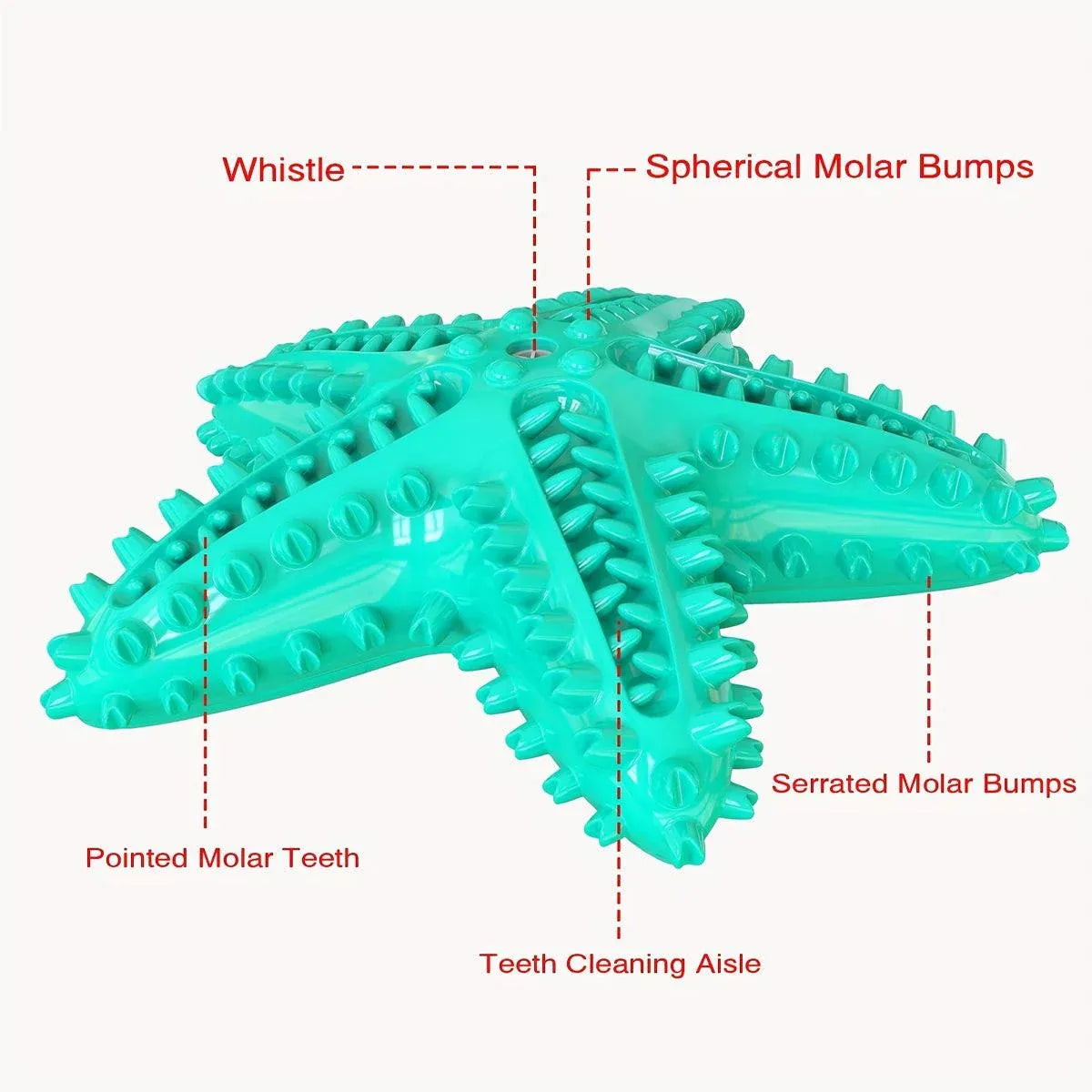 Pet Starfish Floating Dog Toy Audible Water Toy