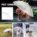 Transparent Pet Umbrella, 30 Inch, with Leash, shown in a real setting