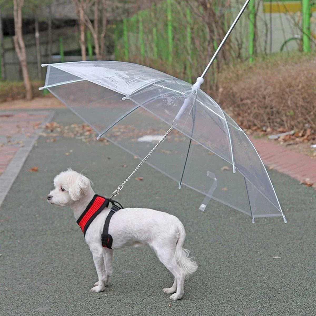 Pet Dog Transparent Umbrella 30 inch Diameter With Dog Leash For Rain