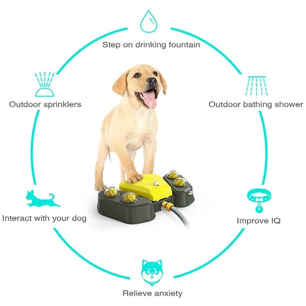 Automatic Water Feeder Dispenser with Bath Spray and Footstep Dog Toys