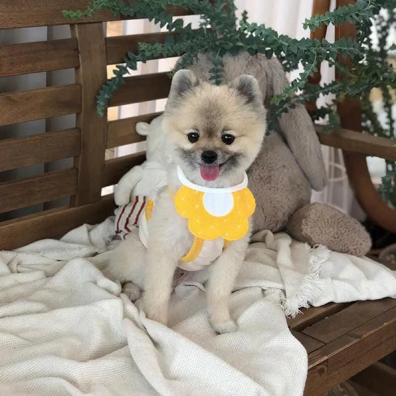 Pet Bandana Bib for Cats and Dogs Triangle Saliva Scarf