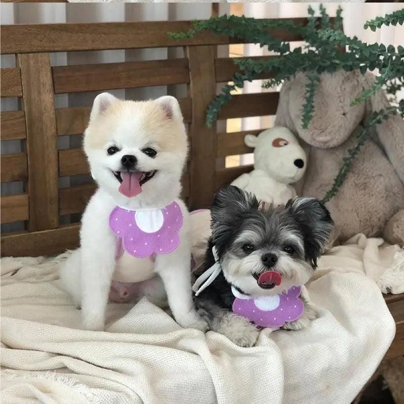 Pet Bandana Bib for Cats and Dogs Triangle Saliva Scarf