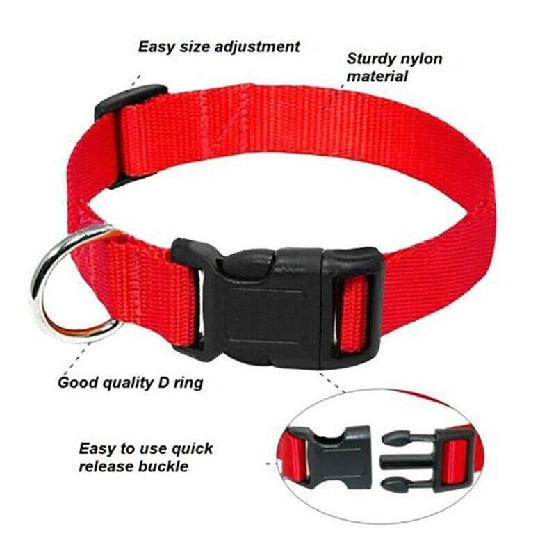 S Size Dog Puppy Pet Collar Adjustable Nylon Toy Small Pink Blue Red
