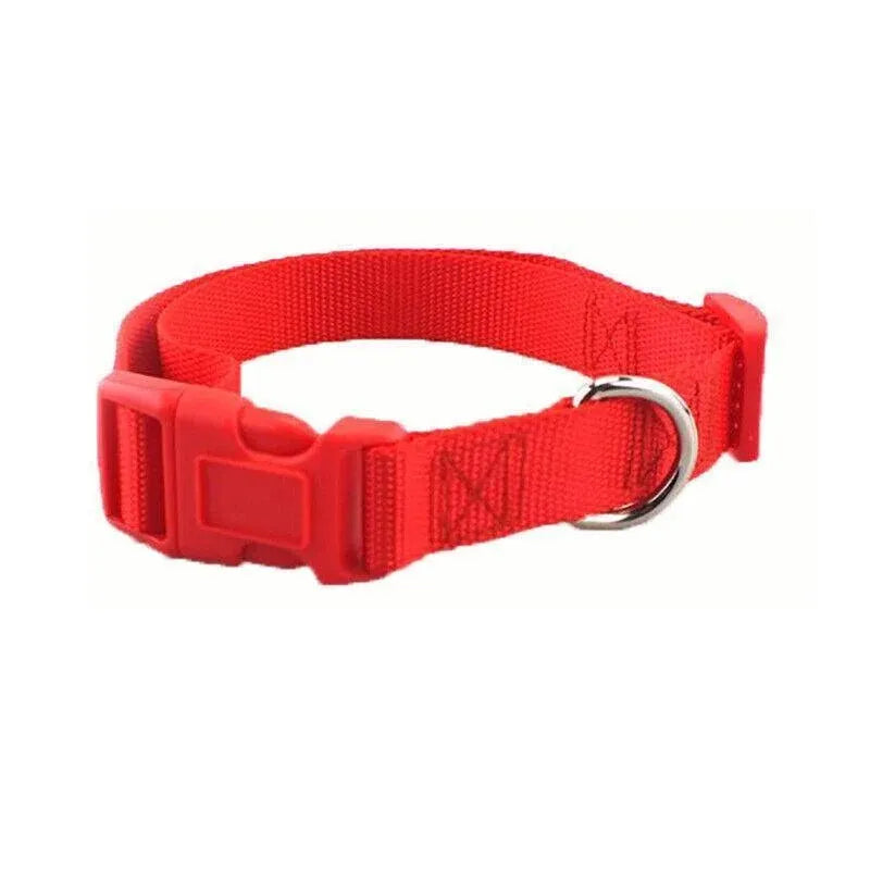 S Size Dog Puppy Pet Collar Adjustable Nylon Toy Small Pink Blue Red