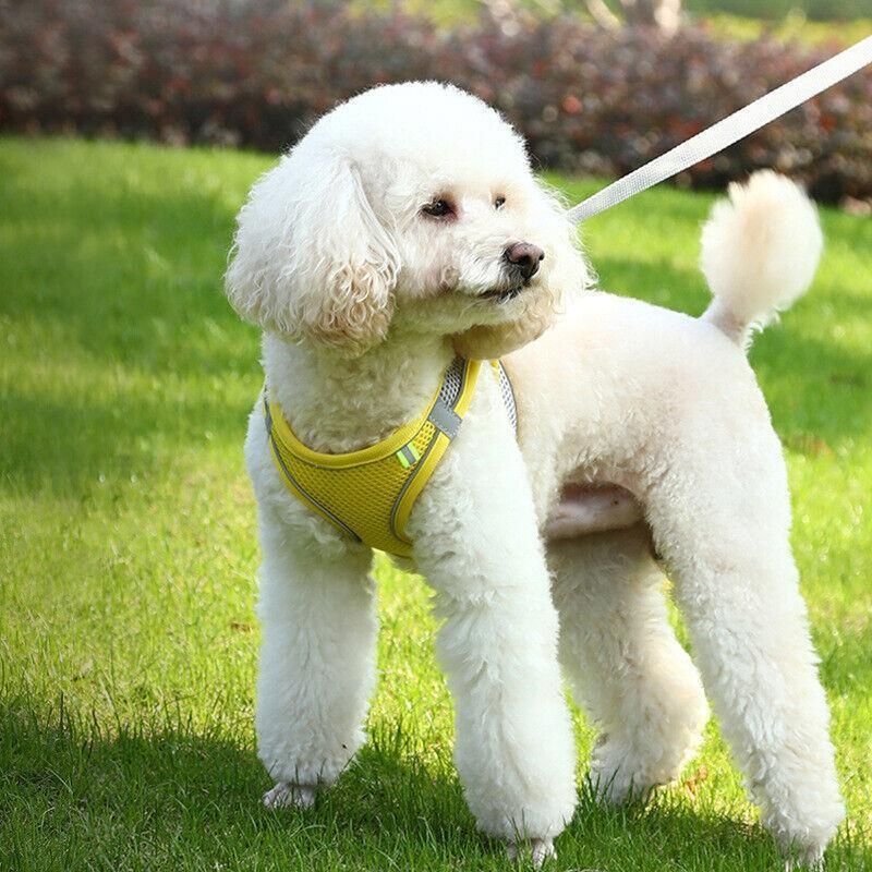 Pet Dog Harness Adjustable Reflective Breathable Outdoor Collars