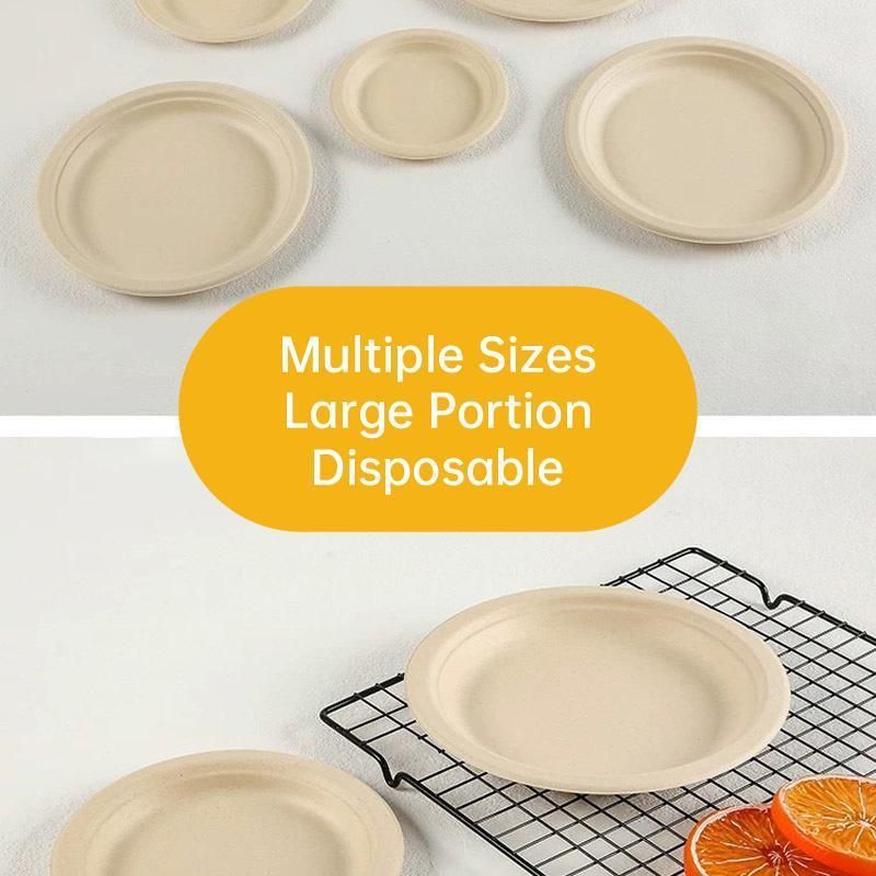 100x Biodegradable Sugarcane Paper Trays - Eco-Friendly & Durable