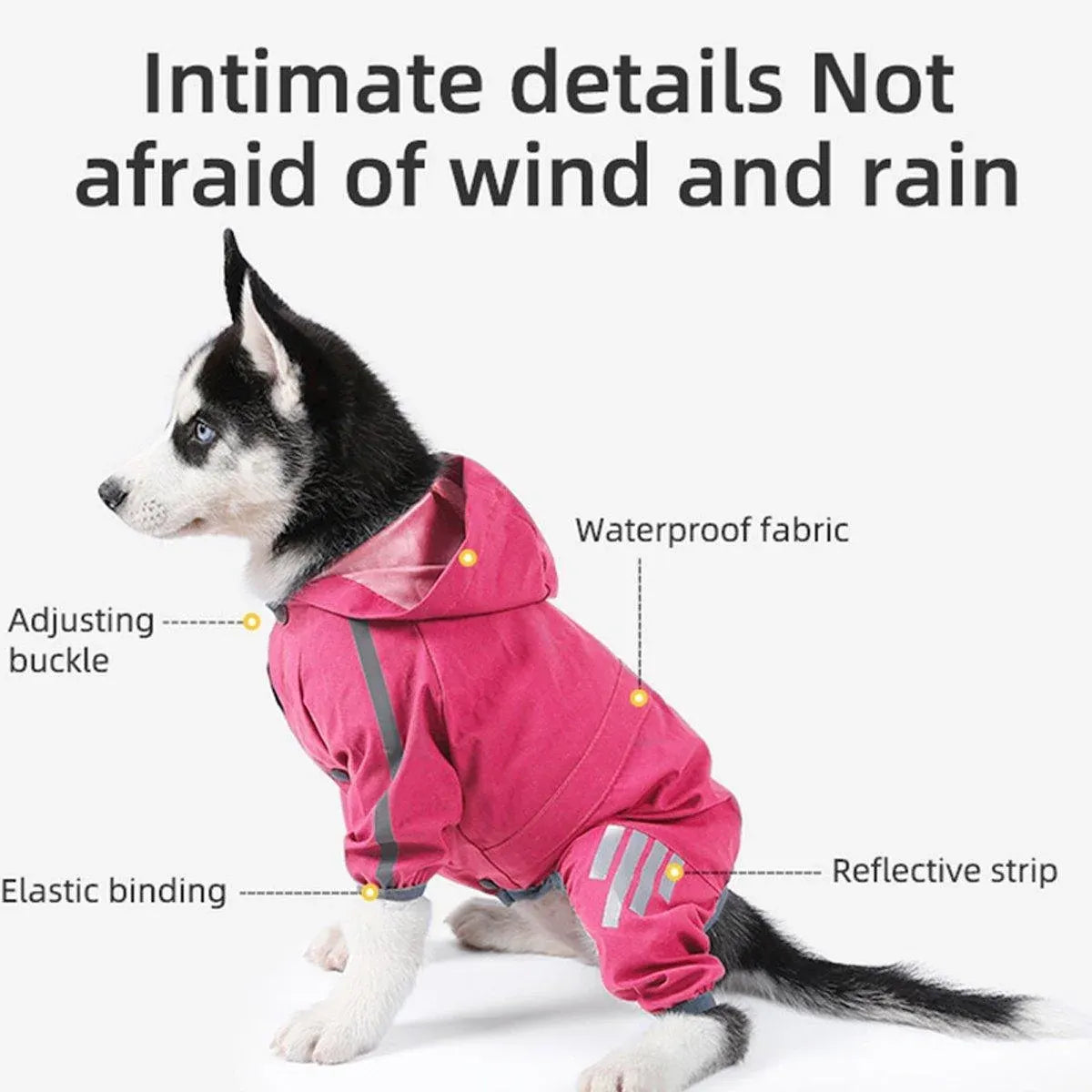 Waterproof Four Corner Pet Raincoats In Large Medium And Small Sizes