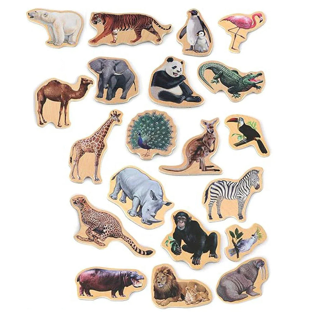 20-Piece Animal Magnet Pack with Carry Storage Box