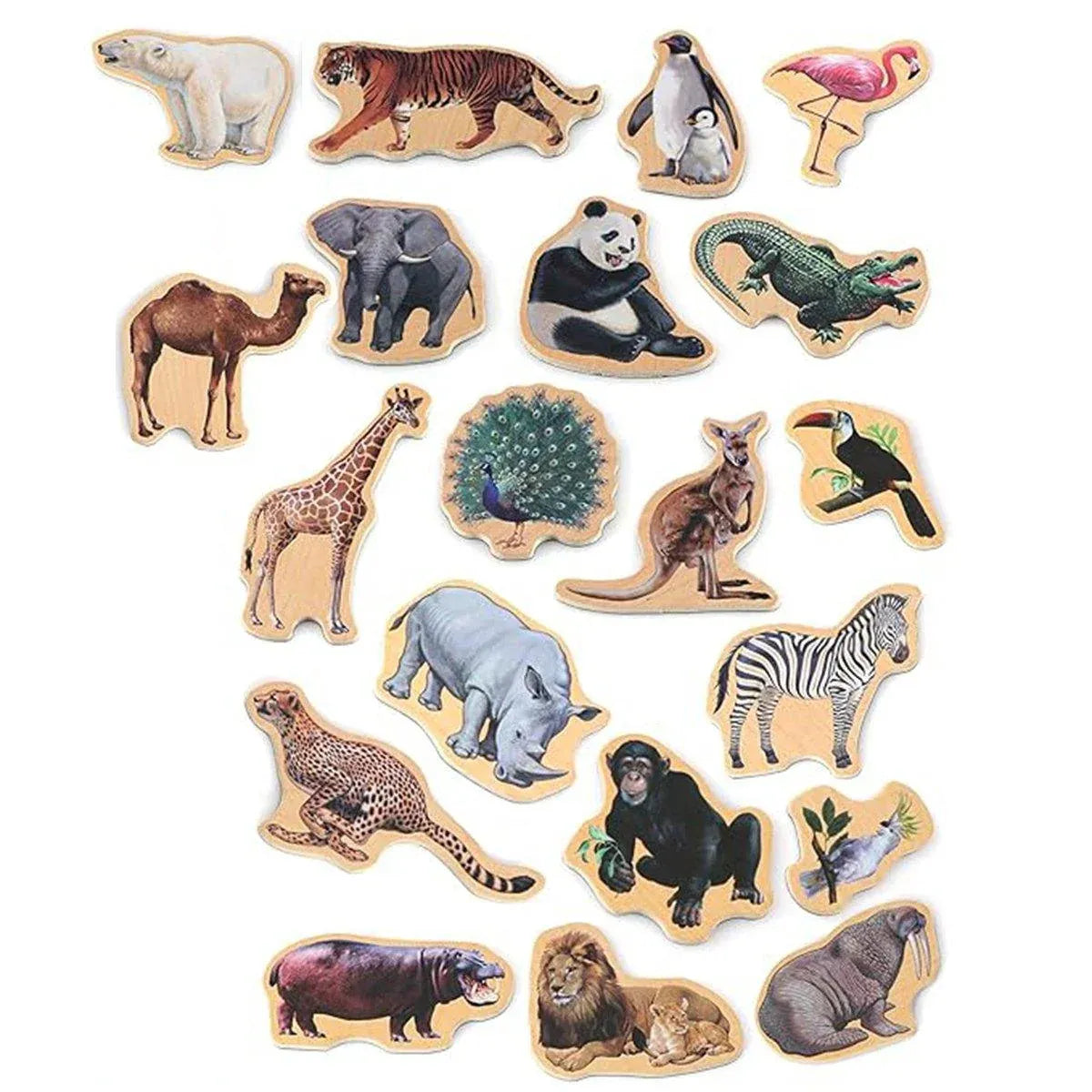 20-Piece Animal Magnet Pack with Carry Storage Box