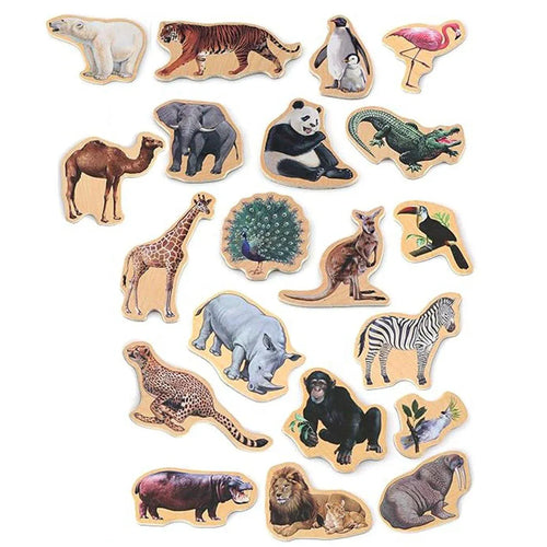 20-Piece Animal Magnet Pack with Carry Storage Box