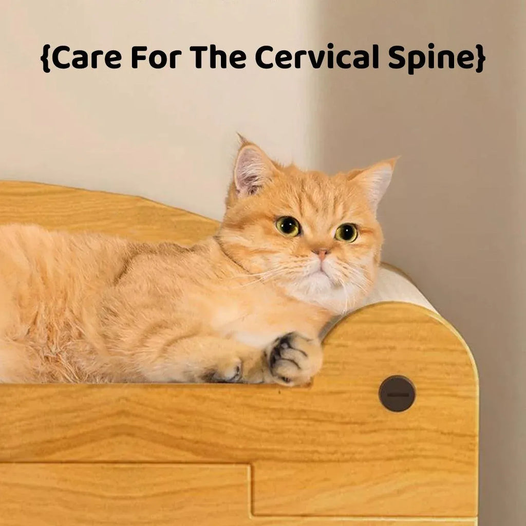 Cat Scratching Board Nest All in One Wear Resistant House Cat