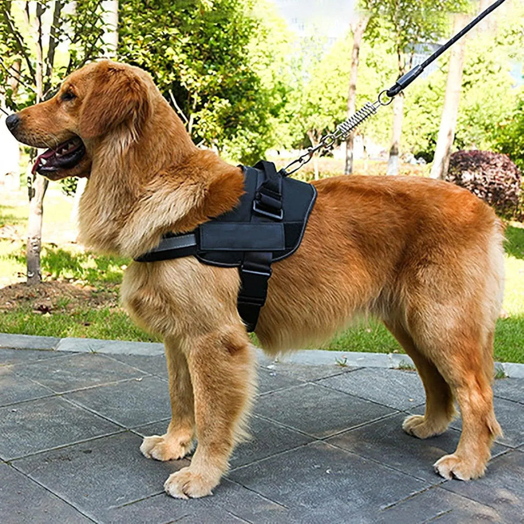 Adjustable Dog Vest Harness for Small Medium Dogs Comfortable No Pull