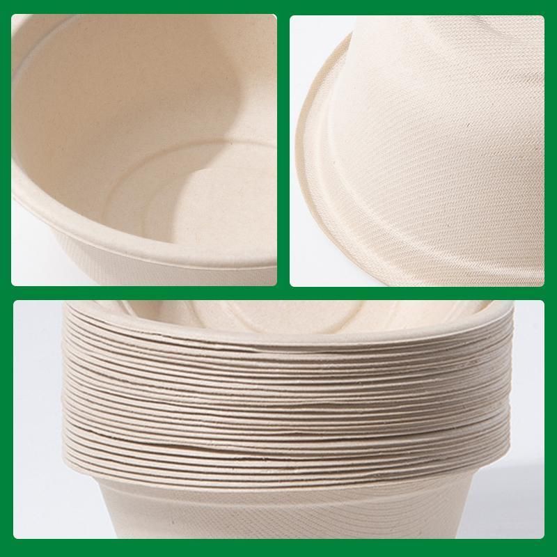 Bagasse Takeaway Boxes with Lids, 500 ml, 250 Pack