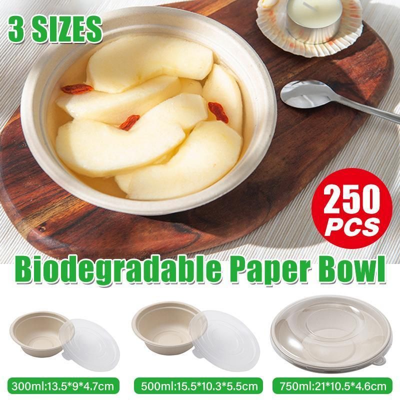 250PCS Food Preparation Burger Storages Cake Packaging Box Lunch
