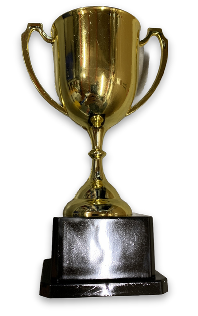 TROPHY CUP Sport Award Football School Table Tennis Gold Winner