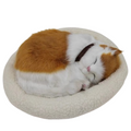 Sleepy Tails - Ginger Cat - Breathing