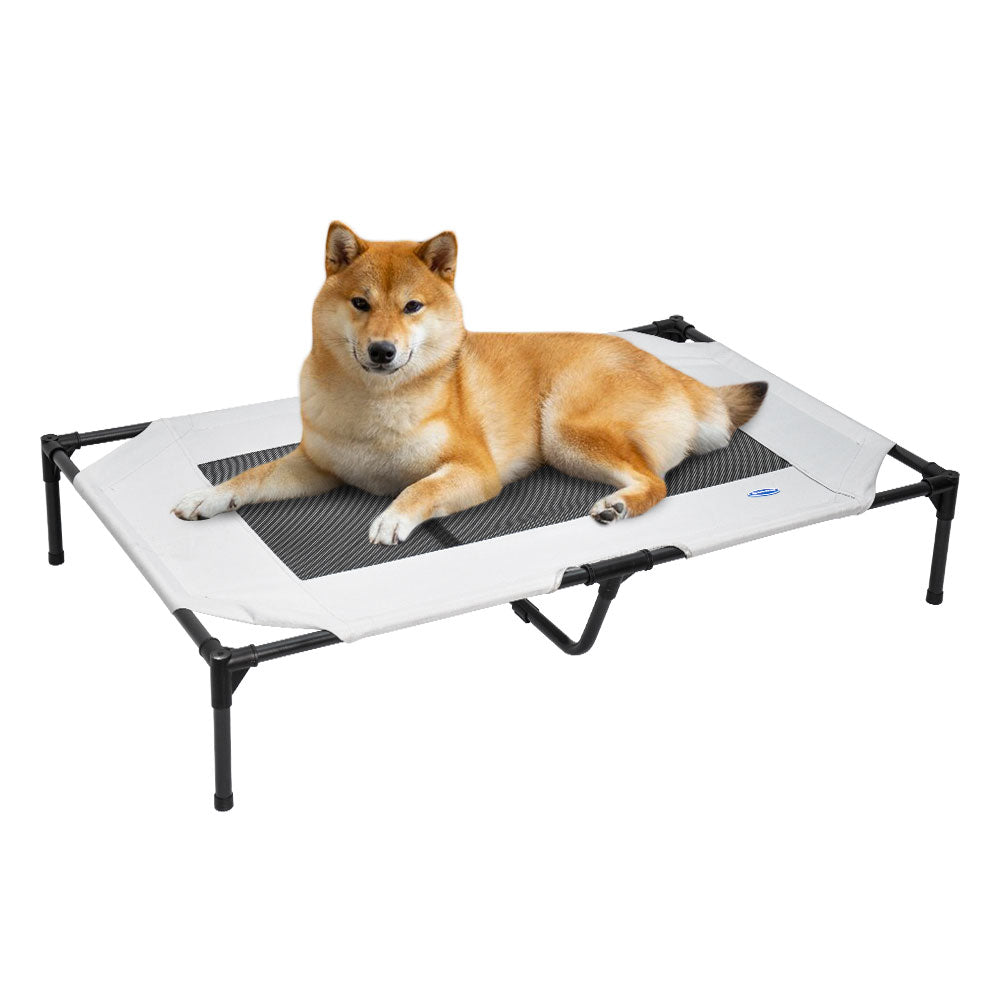 Raised Dog Bed Large Elevated Pet Bed Scratch and Moisture Resistant