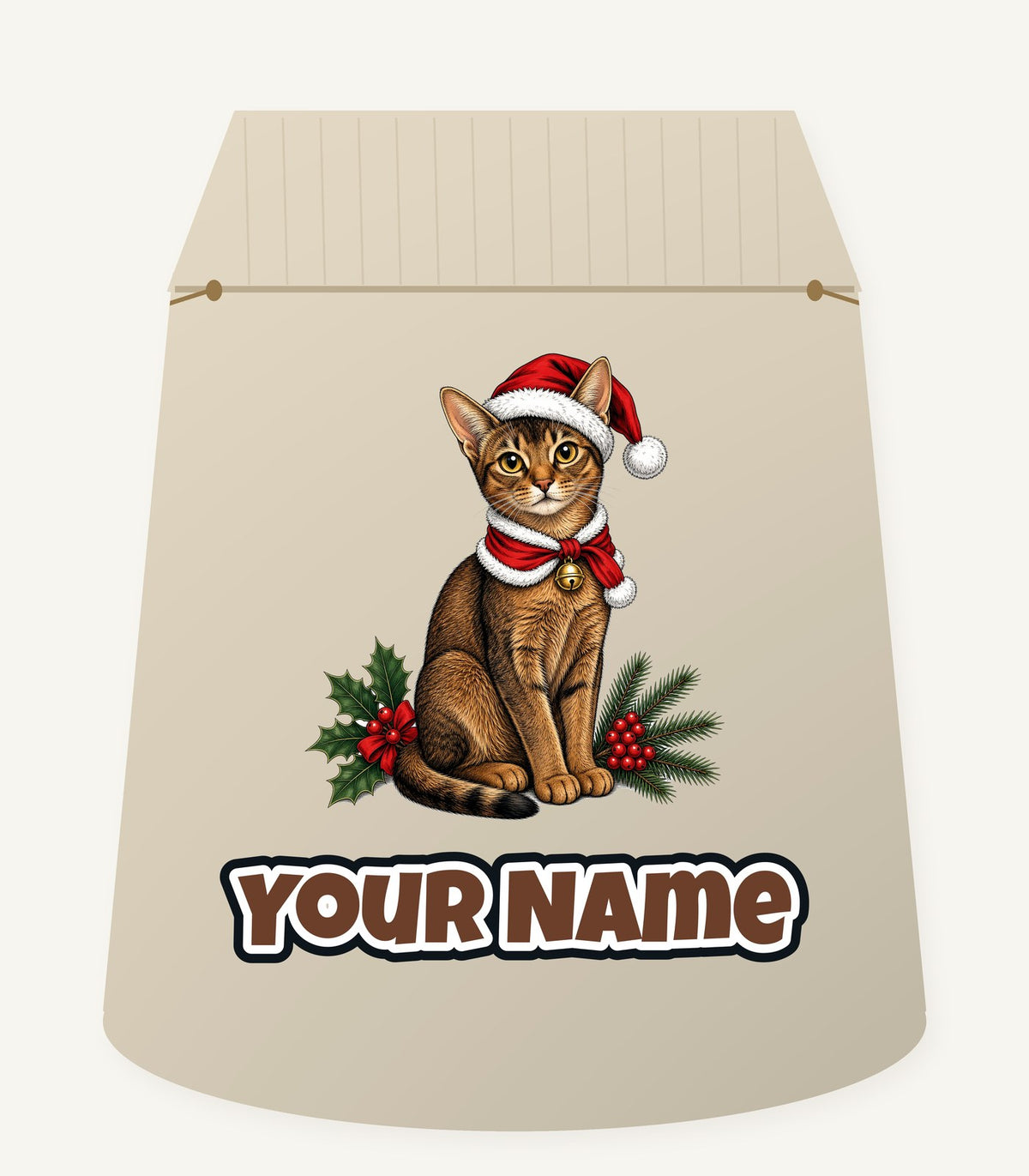 Abyssinian Christmas Personalised Santa Sack