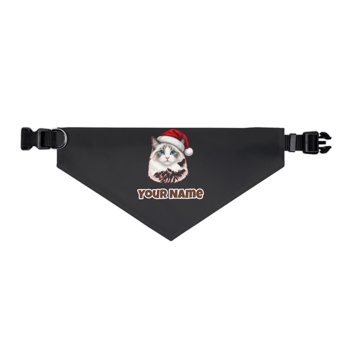 Blue Eyed Longhair Cat personalised Christmas pet bandana in black, collar with buckle