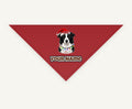 Border Collie in Fairy Lights personalised Christmas pet bandana, tie-on style
