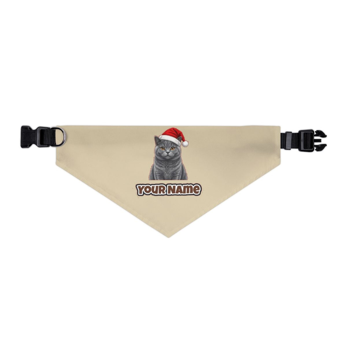 British Shorthair personalised Christmas pet bandana in beige, collar with buckle