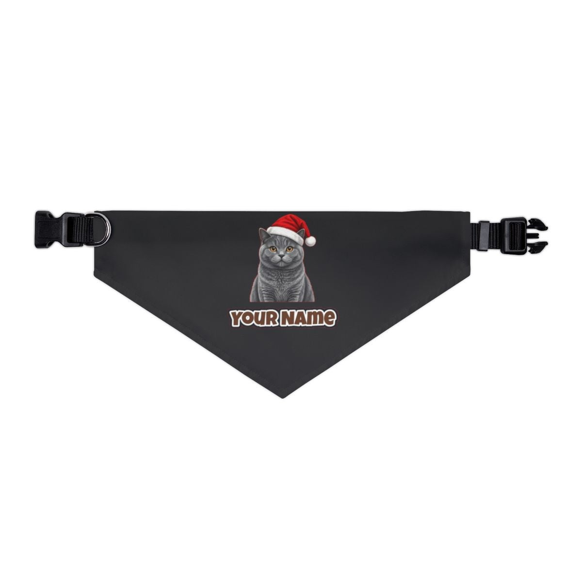 British Shorthair personalised Christmas pet bandana in black, collar with buckle