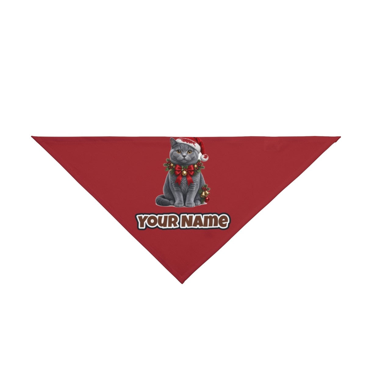 British Shorthair with Holly personalised Christmas pet bandana in red, tie-on style