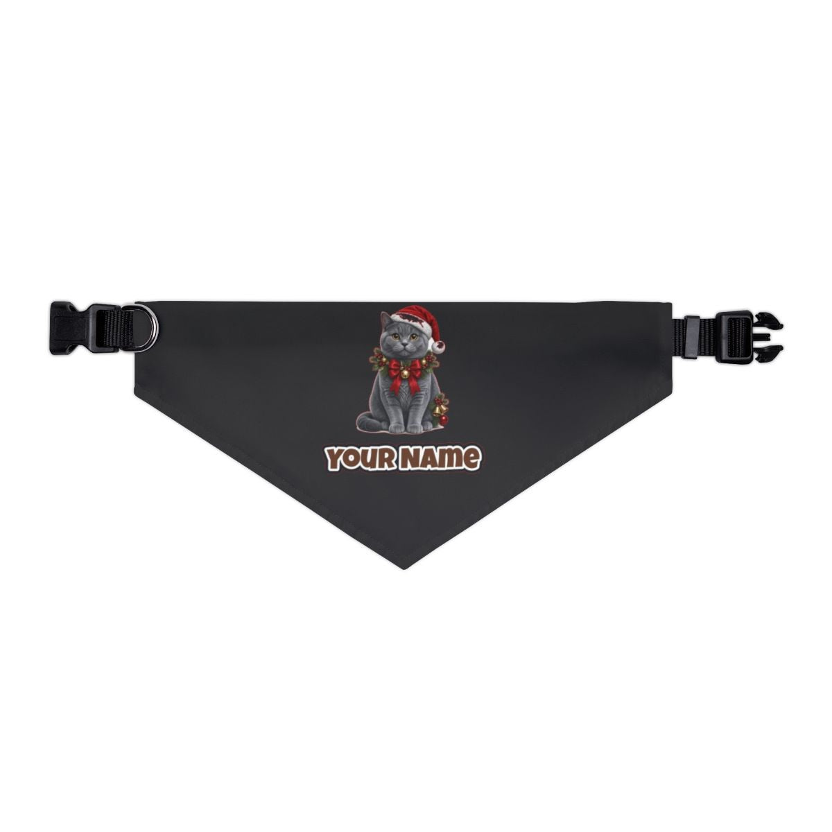 British Shorthair with Holly personalised Christmas pet bandana in black, collar with buckle