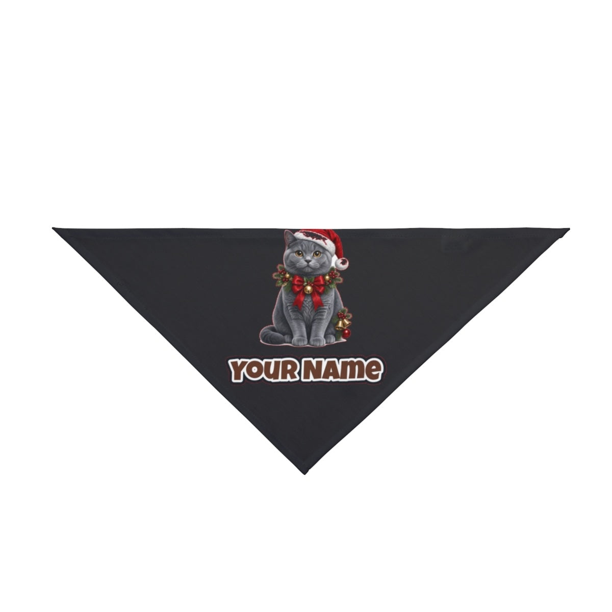 British Shorthair with Holly personalised Christmas pet bandana in black, tie-on style