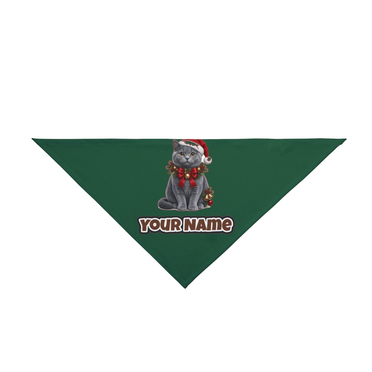 British Shorthair with Holly personalised Christmas pet bandana in green, tie-on style