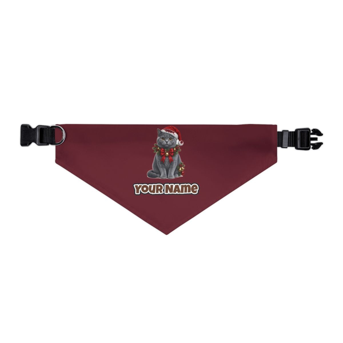 British Shorthair with Holly personalised Christmas pet bandana in maroon, collar with buckle