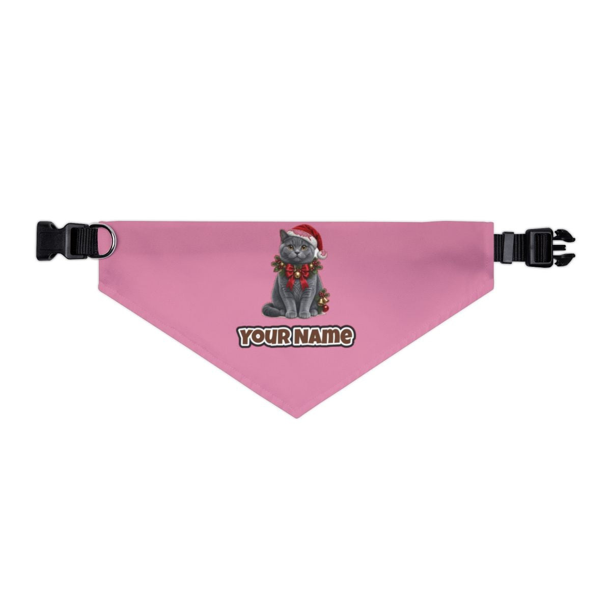 British Shorthair with Holly personalised Christmas pet bandana in pink, collar with buckle