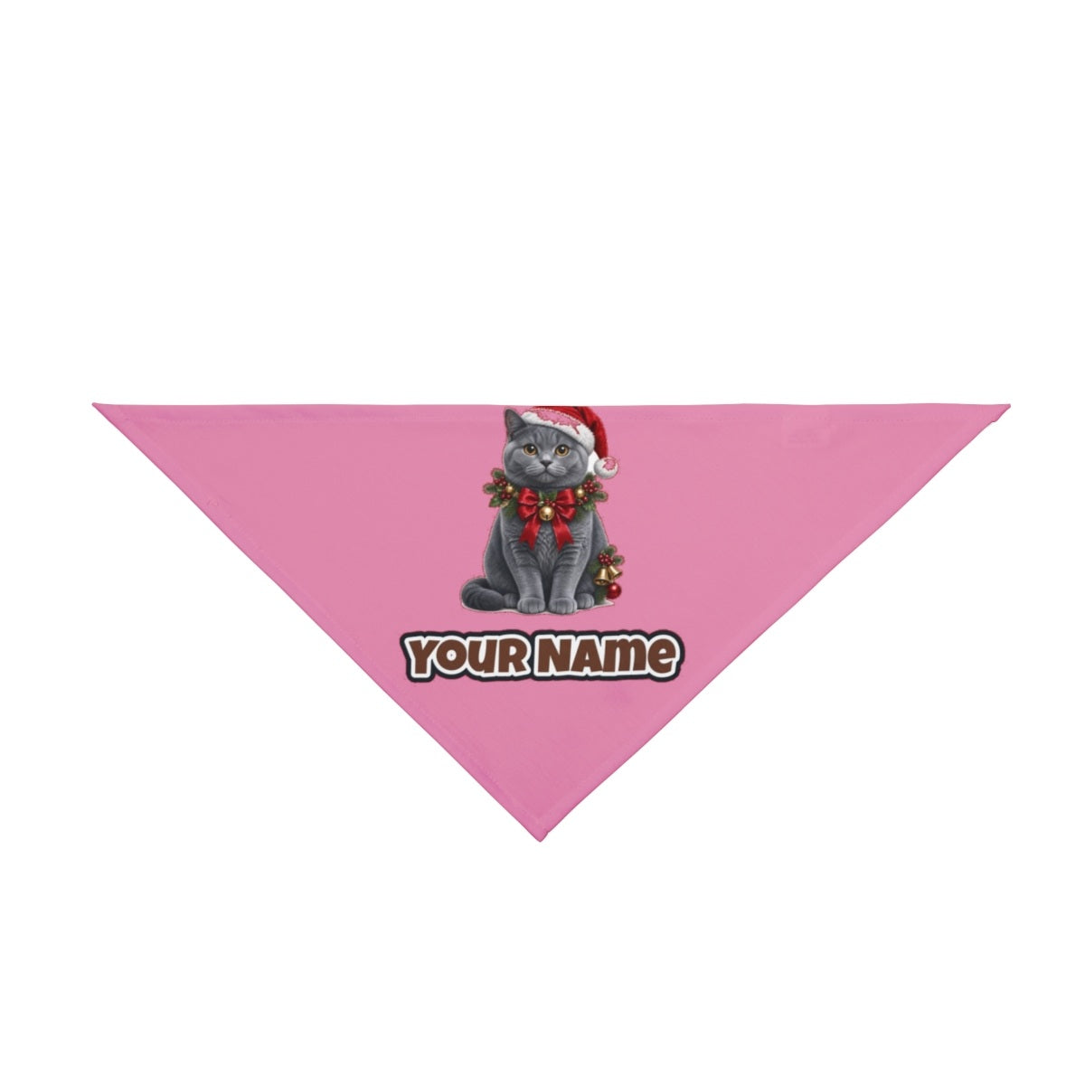 British Shorthair with Holly personalised Christmas pet bandana in pink, tie-on style