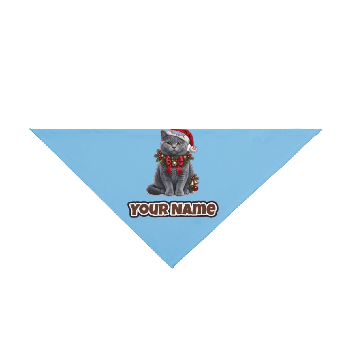 British Shorthair with Holly personalised Christmas pet bandana in sky blue, tie-on style