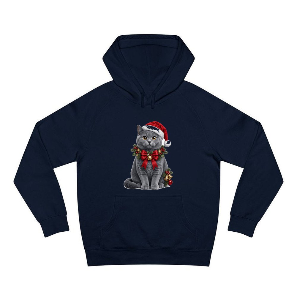 British Shorthair with Holly personalised Christmas hoodie in navy