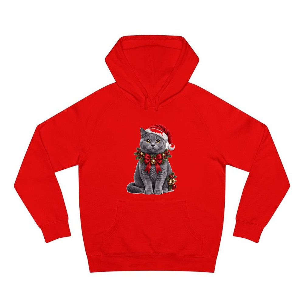 British Shorthair with Holly personalised Christmas hoodie in red