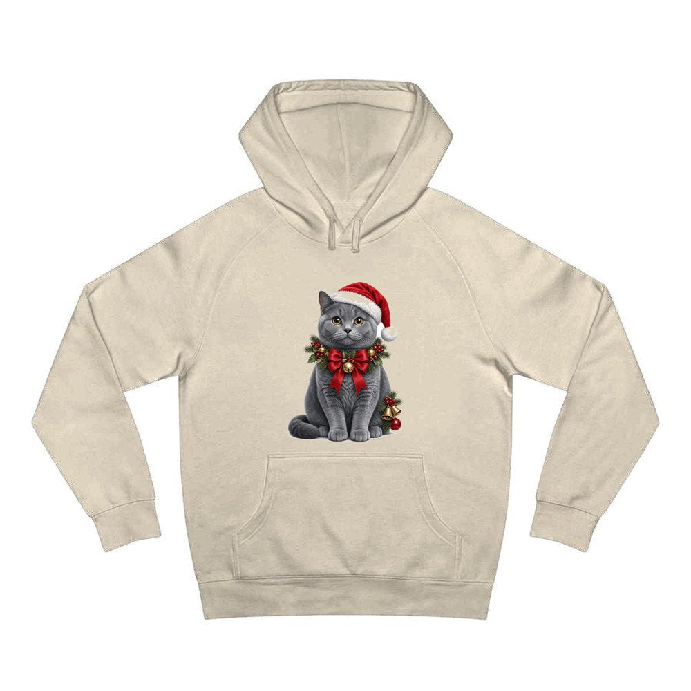 British Shorthair with Holly personalised Christmas hoodie in sand