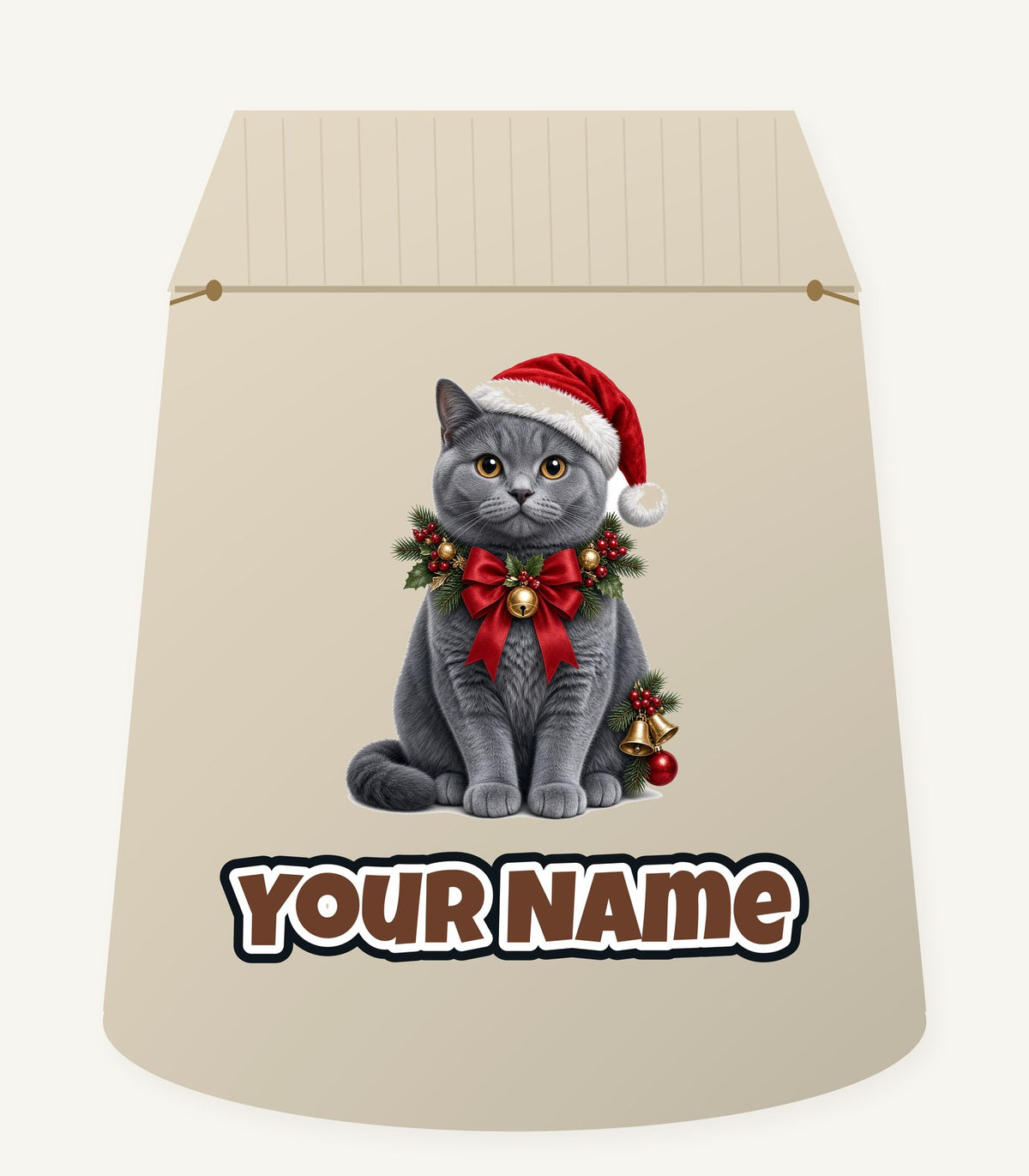 British Shorthair with Holly Personalised Santa Sack