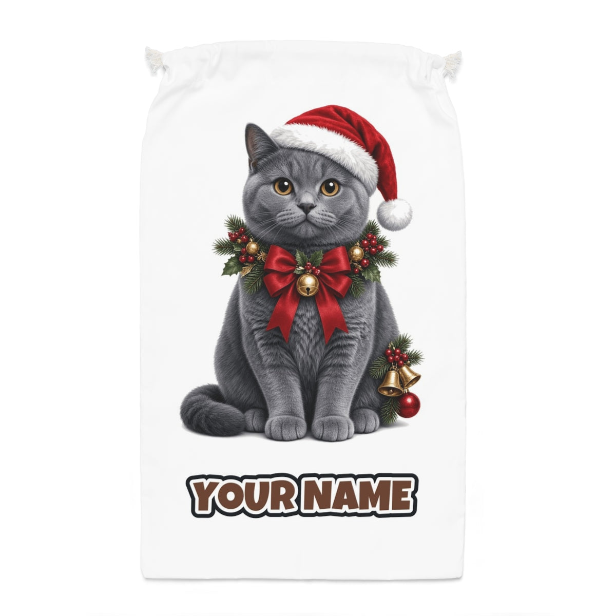 British Shorthair with Holly Santa sack laid flat, showing the full print