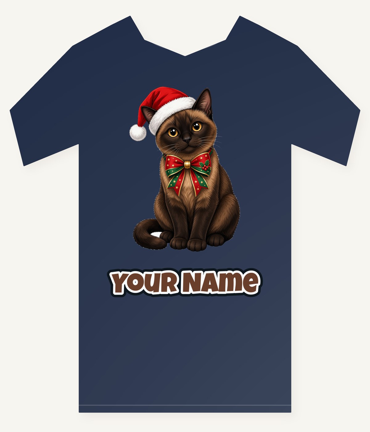 Burmese Christmas Personalised Kids Tee and Baby Bodysuit