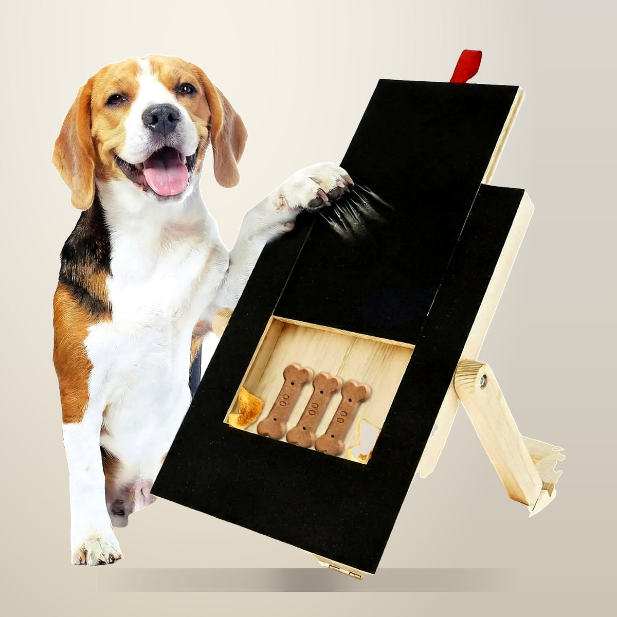 CARLA HOME Dog Nail Scratch Board, 3 Heights, on a plain cream background