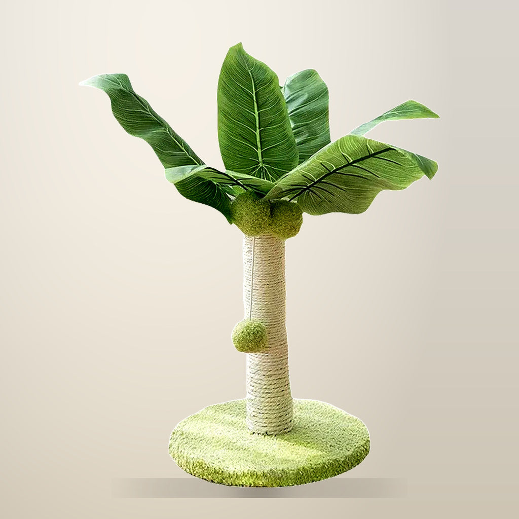 Coconut Tree Cat Scratching Post, Green and Beige, on a plain cream background