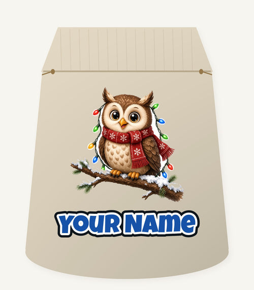 Christmas Fairy Light Owl Personalised Santa Sack