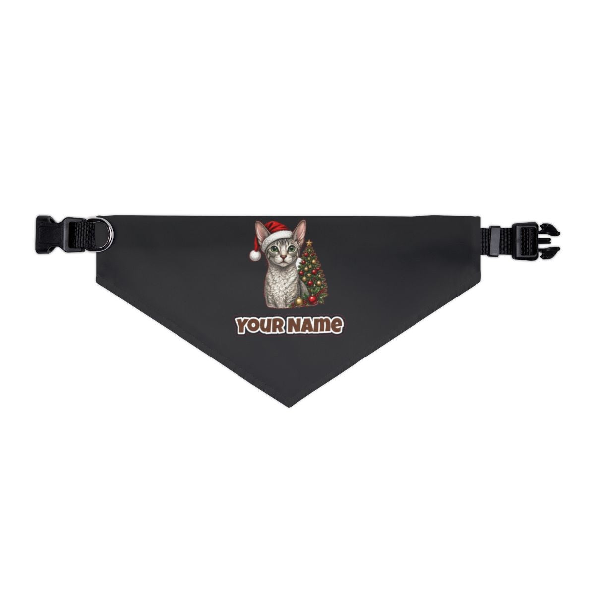 Cornish Rex personalised Christmas pet bandana in black, collar with buckle