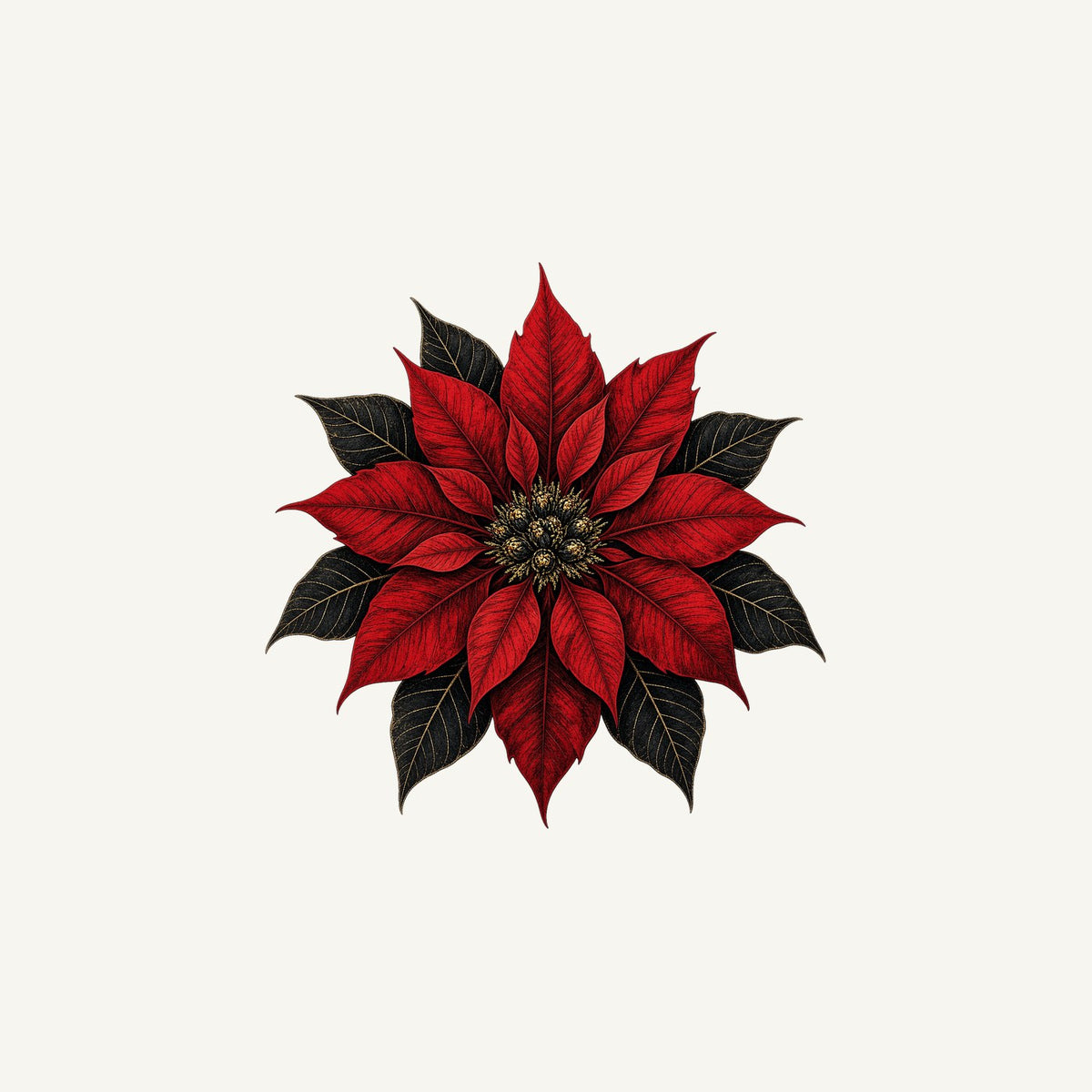 Deep Red Poinsettia Personalised Christmas Mug
